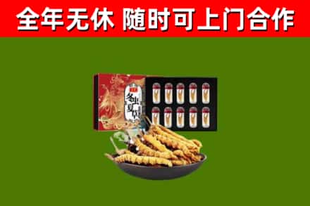 忻州回收冬虫夏草价格